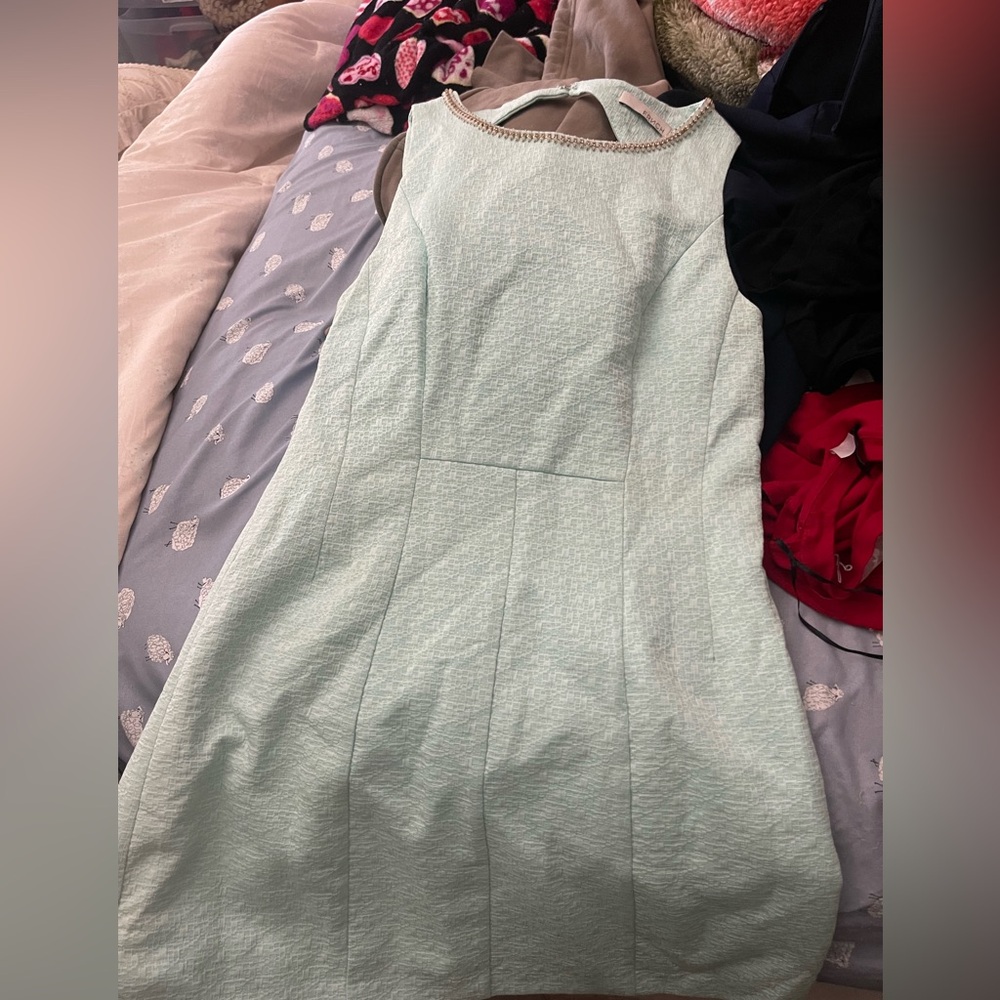 Frnch dress